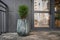 Green small spherical Chinese thuja in a concrete pot near the house at the entrance. Traditional home decorations. Entrance to