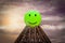 Green smiling emoticon happy on top of many ladders