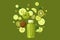 Green smoothie drink in bottle, ingredients flying over the bottle vector Illustration on a green background