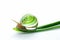 Green Snail walking on aloe vera isolated on white background. Cosmetics and body care concept. Generative ai