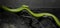 Green Snake