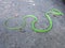 The green snake is the name given to the type of snake that is a green and venomous which is dangerous.