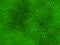 Green snake skin texture