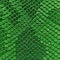 Green snake skin texture. Reptile and serpent scales surface. Graphic resource and background.