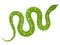 Green snake vector illustration