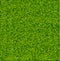 Green Soccer Grass Field Vector