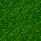 Green soccer grass texture