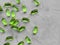 Green soft gelatin transparent capsules laid out on a gray concrete background with copy space . The concept of pharmacology,