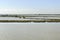 Green soil dams in the lagoon, Comacchio, Italy