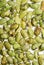 Green soya bean background