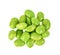 Green soybeans on white background.Top view.