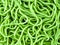 green spaghetti pasta texture