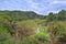 Green Spanish nature landscape. Blue sky. Beautiful nature landscape with water.