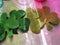 Green sparkly clovers with rainbow reflections - St Patrick\'s Day celebrations