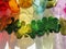 green sparkly clovers, st patrick\'s day, rainbow reflections