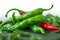 Green and spicy Background adorned with vibrant chili peppers