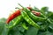 Green and spicy Background adorned with vibrant chili peppers