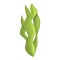 Green spirulina icon cartoon vector. Alga plant