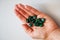 Green spirulina pills on a human`s palm