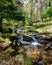 Green spring landscape with stream of water falling between the rocks in an idyllic setting. Navacerrada Madrid