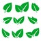 Green spring leaf icons set, stock vector illustration