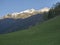 Green spring meadow with blooming trees, forest and snow covered mountain peak in Stubai valley, Neustift im Stubaital