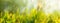 Green spring meadow blurred banner background