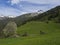 Green spring meadow with haylofts and blooming flowers and trees, forest and snow covered mountain peak in Stubai valley