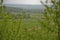 Green, spring meadow in the photo through the blurry branches of trees. Spring, fresh background,