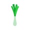 Green spring onions flat design vector illustration. Green onions, Allium. Salad onions, wild cherries, shallots, leeks, skoroda