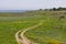 Green spring prairie with twisted ground road