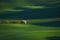 Green Spring Rural Landscape With Blossoming White Apple-Tree And Six Running Roe Deer. European Landscape With White Springtime F