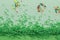 Green sprinkles on two tone green background with multi coloured sprinkles scattered - Top view green sprinkle background with