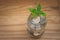 Green sprount tree growing through money coins in savings money glass jar setting on wooden floor.