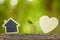 Green sprout growing in soil and wooden heart and house symbol on outdoor sunlight and green blur background. Love tree, Save