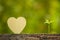 Green sprout growing in soil and wooden heart symbol on outdoor sunlight and green blur background. Love tree, Save world, or