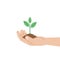 Green sprout in human hand on white background. Vector illustration