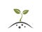 green sprout icon. sprouted from the ground. planting, farming and agriculture symbol