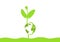 Green sprout seedling holding globe, environmental concept