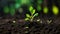 Green sprouts in dark soil against a blurred background symbolize growth and potential.