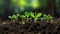 Green sprouts in dark soil against a blurred background symbolize growth and potential.