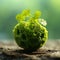 Green sprouts of fresh plants Close up. Spherical ground and plant, conceptual. Young small stems with perfect green leaves. Tree