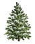 Green spruce with snow. Christmas tree with frost. Realistic pine tree