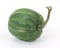 Green squash