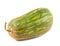 Green squash