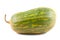 Green squash