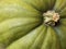 Green squash