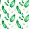 Green squashes watercolor illustration seamless pattern isolated