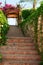 Green stairs with flowers on arch and blue sly