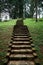 Green Stairs to Hill in King Garden of Peradeniya